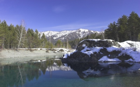 АФИША ВЕСЕННИХ ЭКСКУРСИЙ